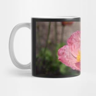 Pink Poppy Mug